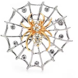 Spider Web Silver Crystal Brooch
